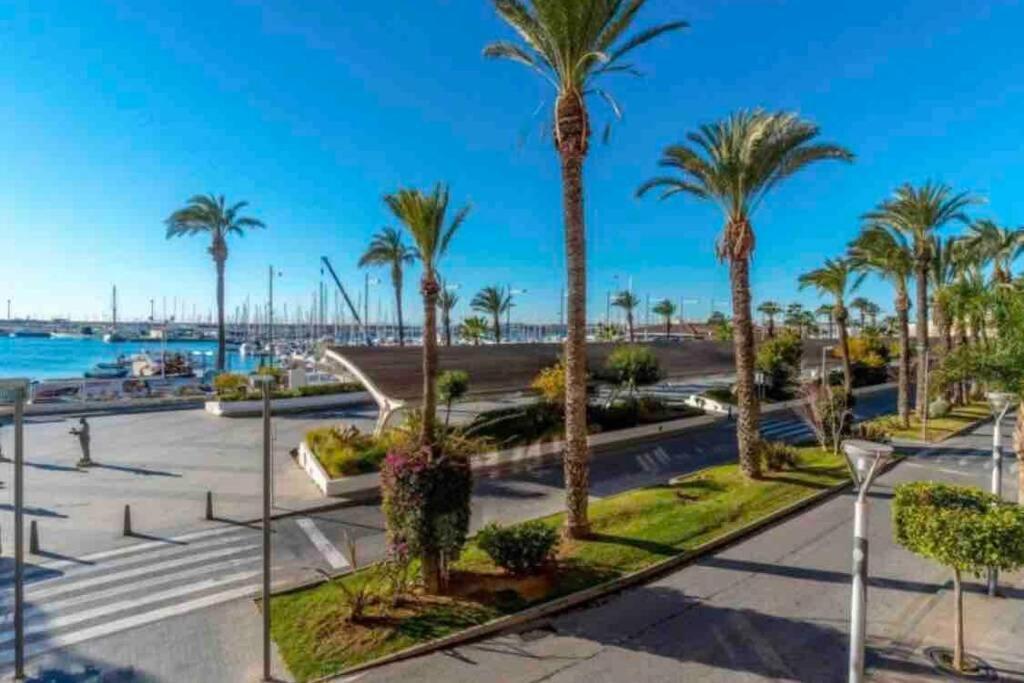 Ferienwohnung Acogedor Apartamento Con Piscina Cerca A La Playa Torrevieja Exterior foto