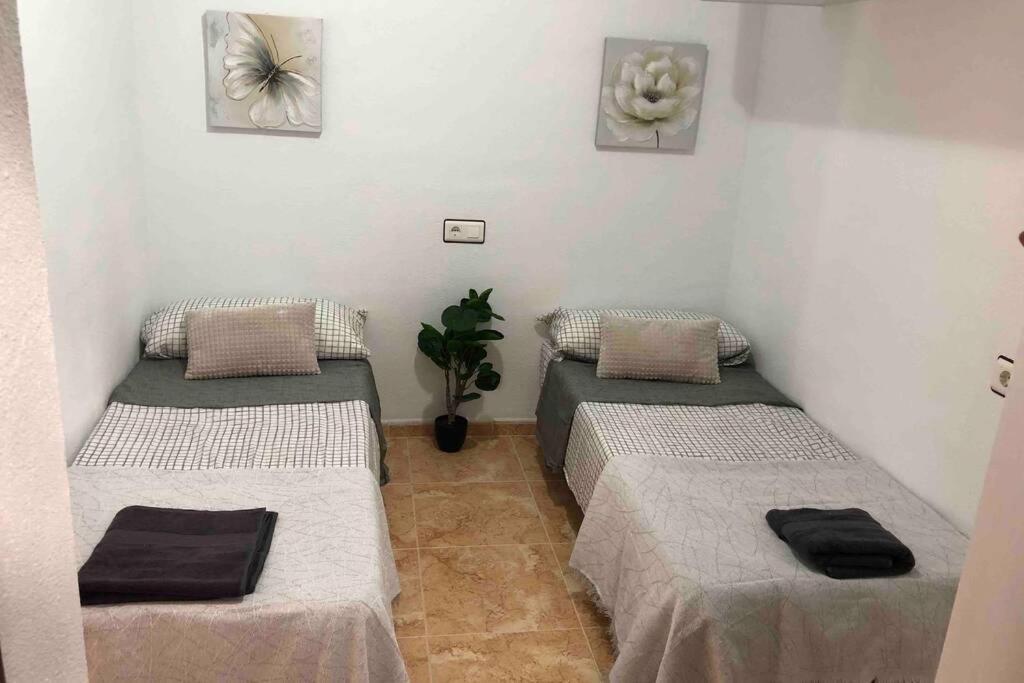 Ferienwohnung Acogedor Apartamento Con Piscina Cerca A La Playa Torrevieja Exterior foto