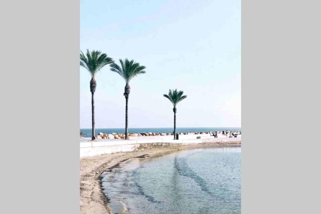 Ferienwohnung Acogedor Apartamento Con Piscina Cerca A La Playa Torrevieja Exterior foto