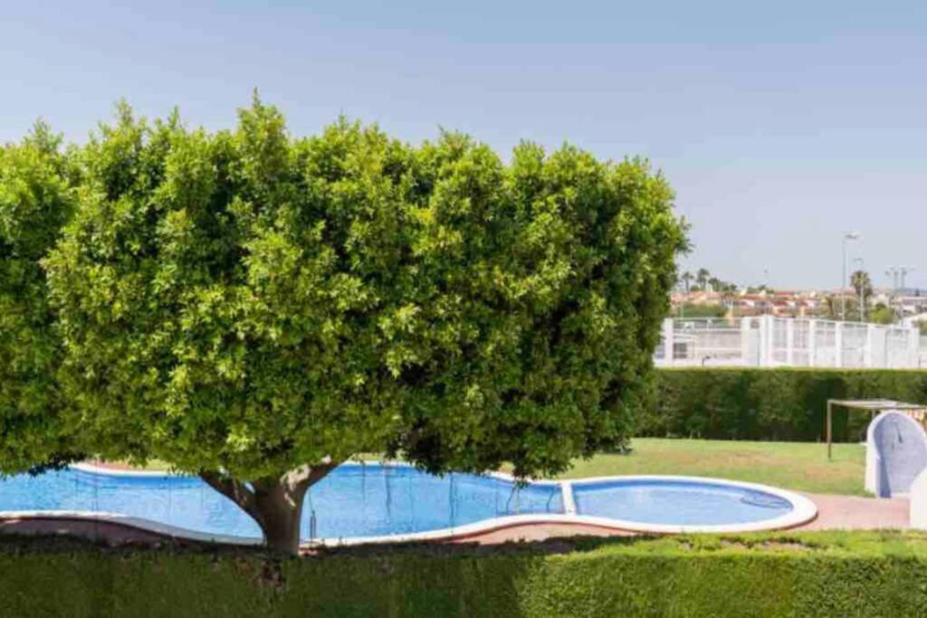 Ferienwohnung Acogedor Apartamento Con Piscina Cerca A La Playa Torrevieja Exterior foto